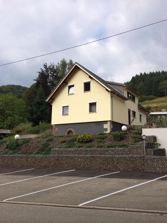 Ferienwohnungen Talblick Kirnbach  المظهر الخارجي الصورة